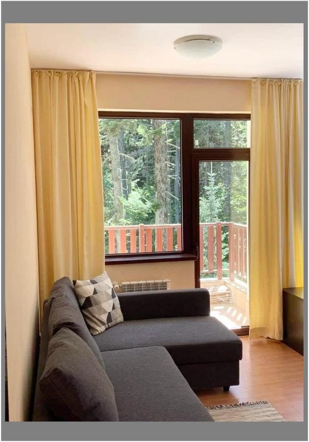 Flora Ski-Slope Studio Apartment 보로베츠 외부 사진