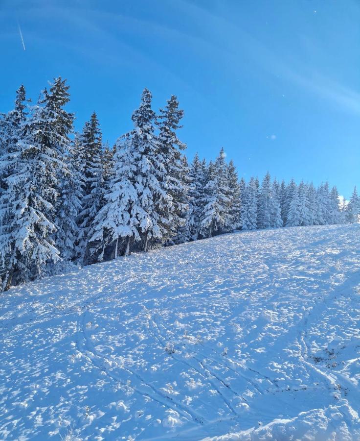 Flora Ski-Slope Studio Apartment 보로베츠 외부 사진